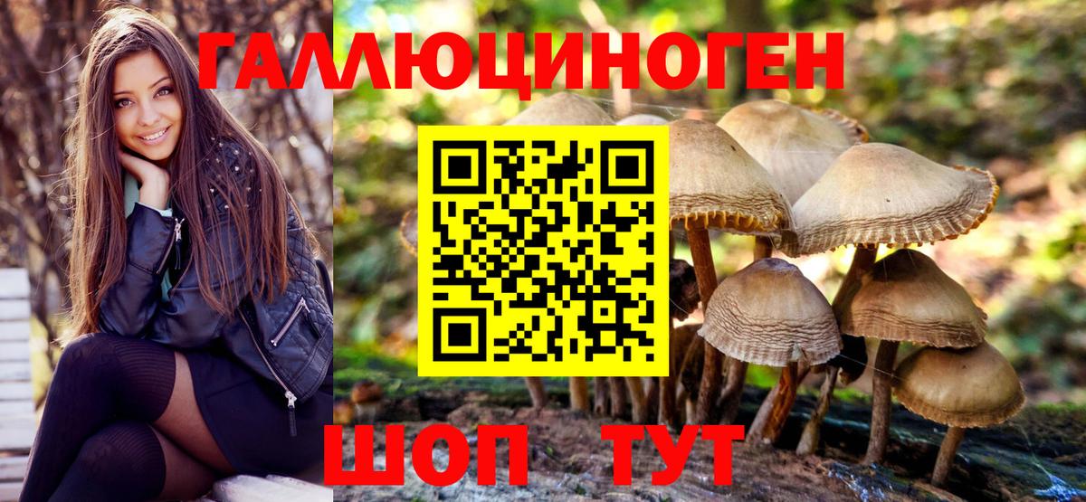 купить наркотики цена  Вход с VPN  Зерноград  Псилоцибиновые грибы Magic Shrooms 